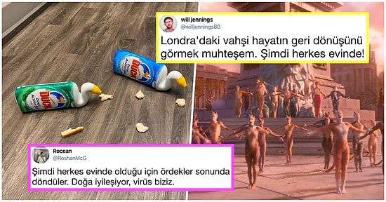 Doğanın İyileştiğini ve Asıl Virüsün Biz Olduğunu Duyar Duymaz İşi Gücü Bırakıp Mizah Yapmaya Koşan 17 Kişi