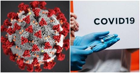 Genç Olsanız Bile Koronavirüs Sonrası Bağışıklık Sisteminizden Dolayı Hayatınızı Kaybedebilirsiniz
