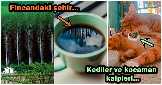 Kusursuz Simetrik Uyumları Karşısında Mükemmeliyetçi İnsanların Bile Hayran Kalacağı 22 Görsel