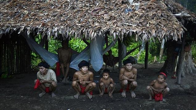 Коронавирус добрался до лесов Амазонки: выявлены случаи среди индейских племен