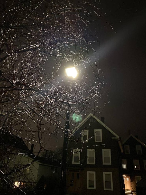 8. «Эти ветви деревьев выглядят как паутина в уличном свете».