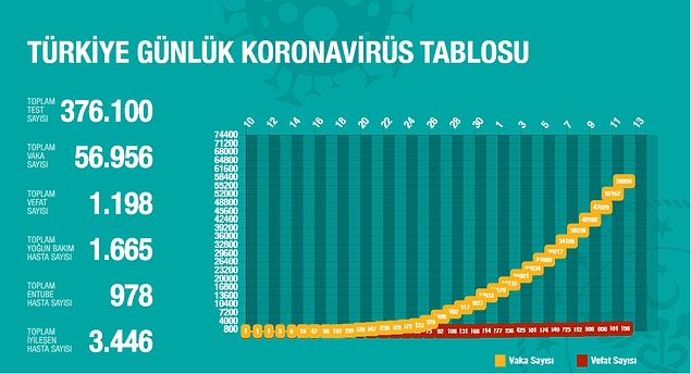 Türkiye'de koronavirüsün seyri 👇