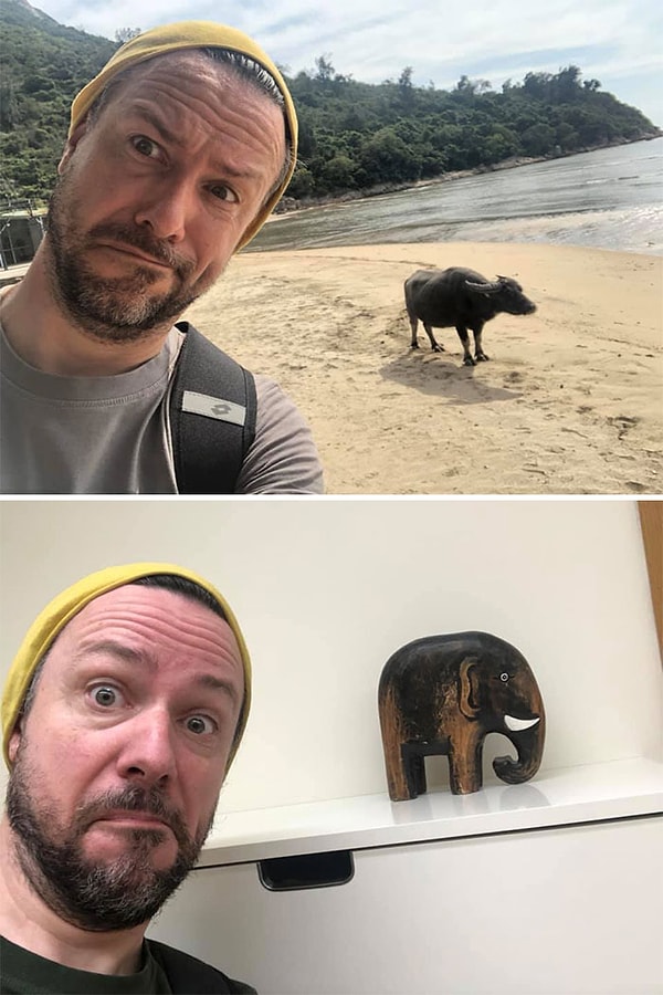 3. Любовь к животным заметна и дома :)