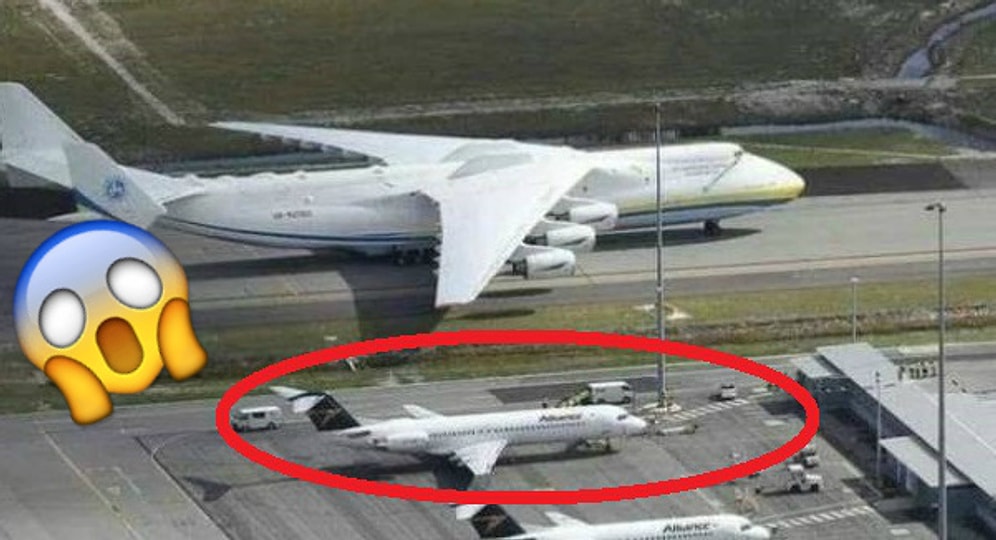 Все познается в сравнении или 23 предмета, масштабы которых можно оценить только поставив их рядом с чем-то