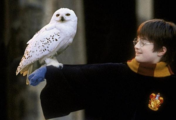 12. Harry Potter serisinde pamuk gibi baykuş Hedwig'in ölümü.