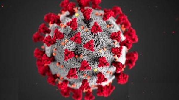 Koronavirüs giderek yayılıyor ve tamamen kurtulmanın tek yolu aşı gibi görünüyor.