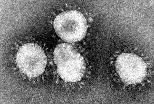 Almeida, 1964'te bu numunelerle birlikte 'ilk İnsan Koronavirüsü' olarak tanınan virüsü keşfetmiş oldu.