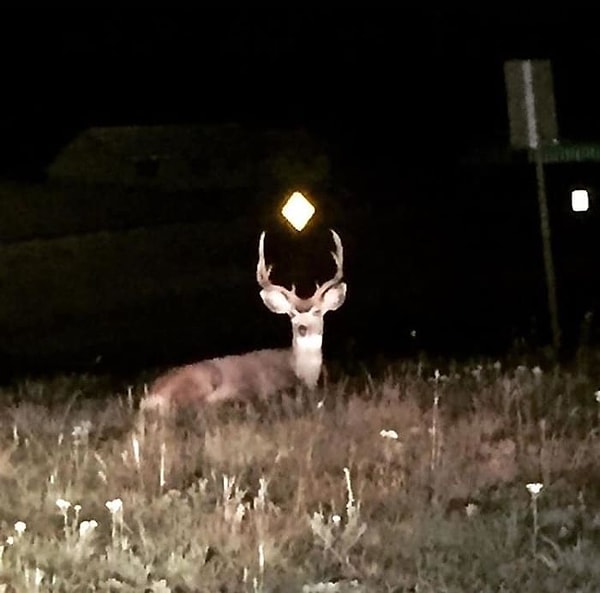 4. Я и не знал, что играю в "The Sims"