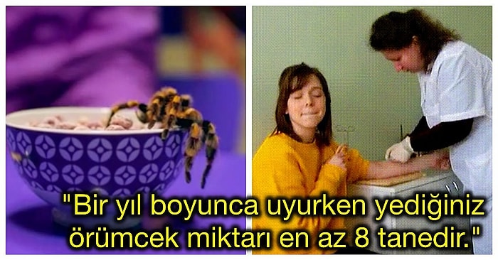 Yıllarca Herkesin Bildiğini İddia Etmesine Rağmen Gerçeğiyle Alakası Bile Olmayan 14 Saçmalık