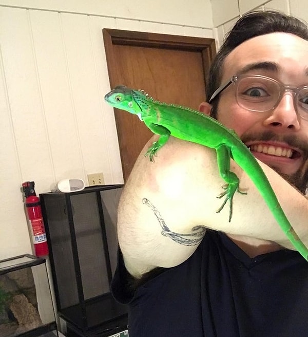 1. "Мой брат и его игуана... Это похоже на плохой фотошоп"