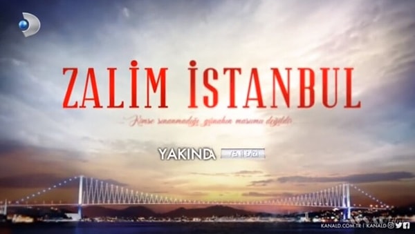 5. Босфор и мост через него