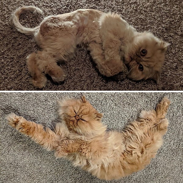 31. Три месяца и два фунта спустя