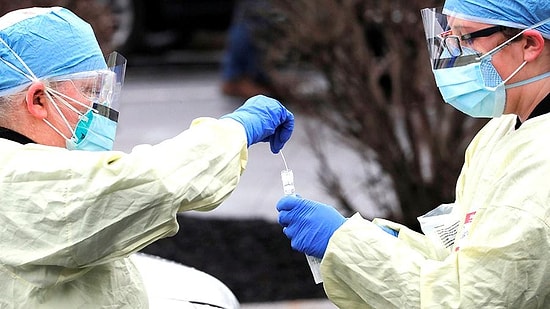 В Оксфордском Университете результаты тестов вакцины на обезьянах дали положительные результаты