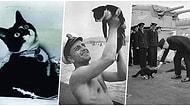 İkinci Dünya Savaşı Sırasında Bindiği Her Geminin Batışından Kurtularak Efsaneleşen Kedi: Batırılamayan Sam