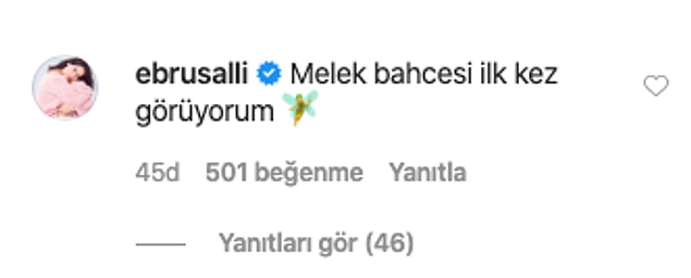 Ebru Şallı da bu paylaşıma şöyle yorum yaptı. 👇