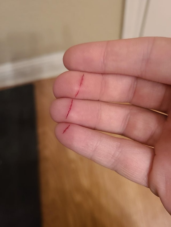 "Мы решили проверить, насколько острым был нож, который я только что купил."