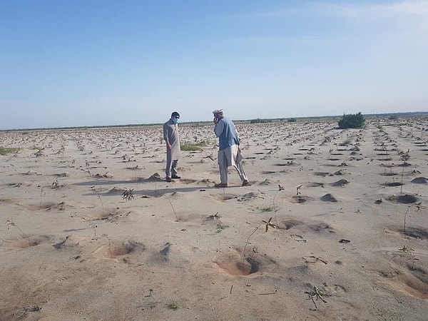 Хотя этот проект будет проходить в изолированных районах, рабочие будут работать в соответствии с правилами социальной дистанции.