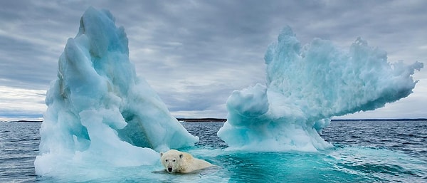 Изменение климата продлится еще 40 лет, и наш мир прогреется на 0, 6 градуса.