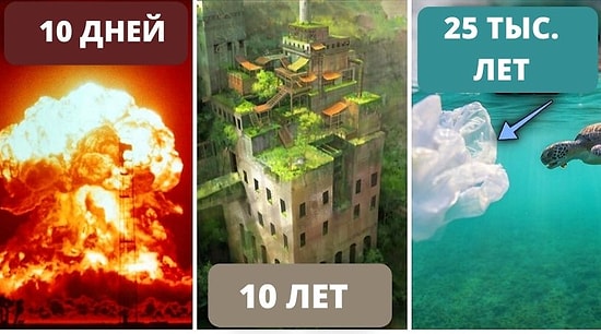 Логические ответы на гипотетические вопросы: Что произойдет с миром, если человечество исчезнет в одно мгновение?