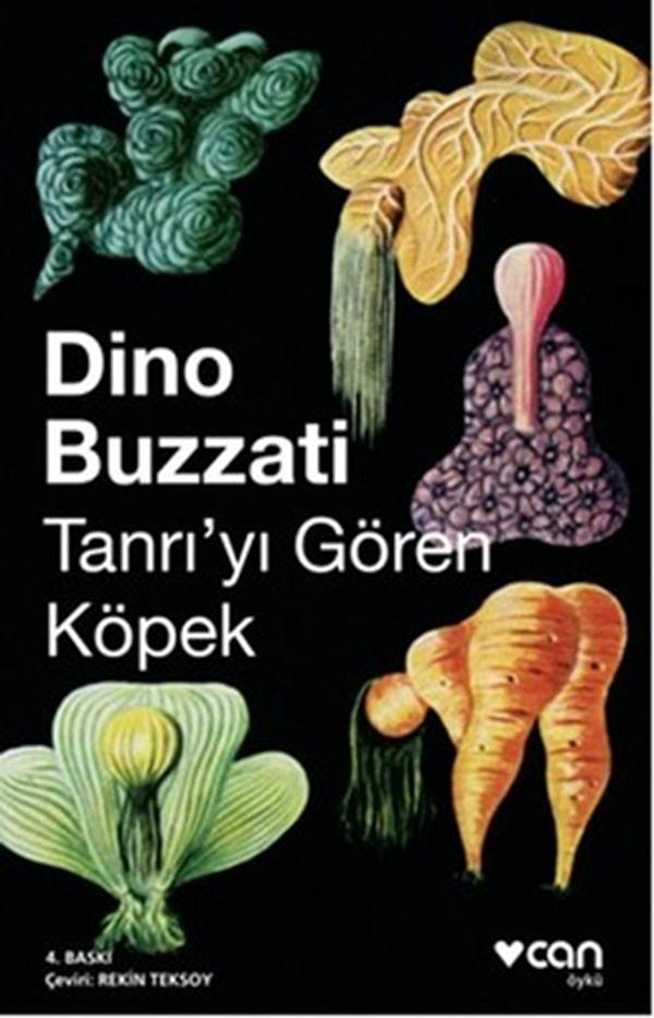 Dino Buzzati - Tanrı'yı Gören Köpek