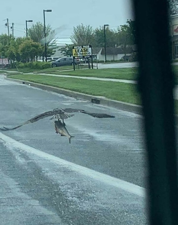 3. Я покажу тебе МИР!