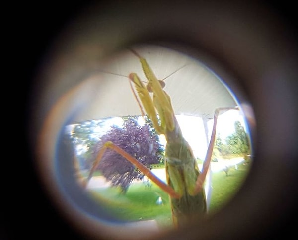 19. "Снова эти назойливые сетевики пришли!"