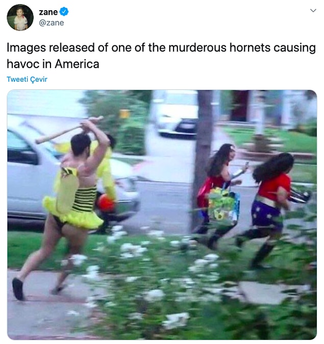 9. "Katil eşek arasının Amerika'da yarattığı hasarı gösteren fotoğraflar"