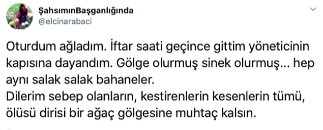 Büyük emekler vererek yetiştirdiği ceviz ağacı hiçbir izin veya geçerli bir gerekçe olmadan kesilmişti...