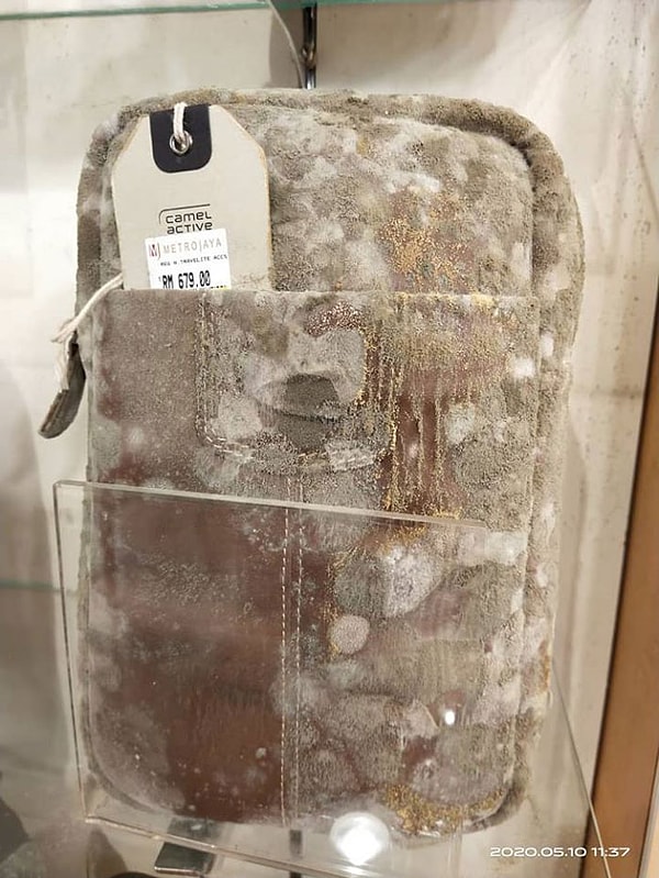 Многие люди начали утверждать, что настоящая кожа не покрывается плесенью, и товары сделаны из кожзама.