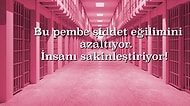 İnsanı Yatıştırdığı ve Şiddet Yönelimini Azalttığı İddia Edilen Baker Miller Pembesini Biliyor musunuz?