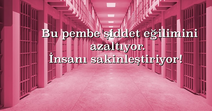 İnsanı Yatıştırdığı ve Şiddet Yönelimini Azalttığı İddia Edilen Baker Miller Pembesini Biliyor musunuz?