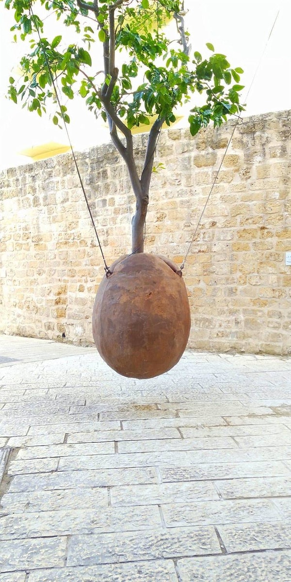 5. «Я нашел порхающее дерево».