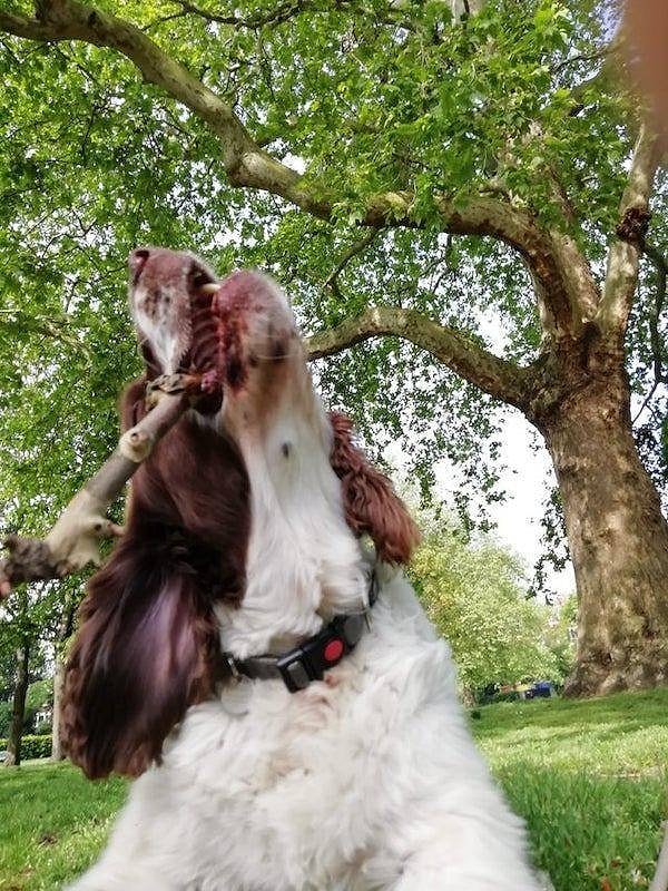 11. И еще несколько фотографий, на которые придется взглянуть дважды: