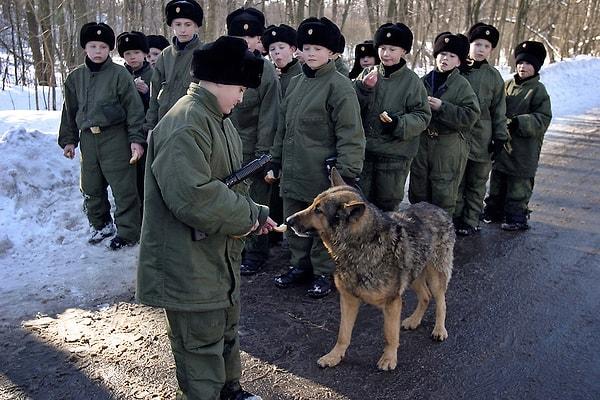 12. 1996 yılında 4 yaşındaki bir Rus çocuk ona zarar veren ailesini terk edip vahşi köpeklerle yaşamaya başlamıştı. Yakalanması iki yıl sürmüş ve bu süreç içinde çocuk sürünün lideri olmuş, polisi üç kez atlatmıştı. Daha sonra askeri okula gitti ve orduda görev aldı.