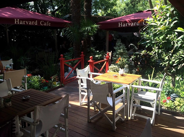 Harvard Cafe, Etiler