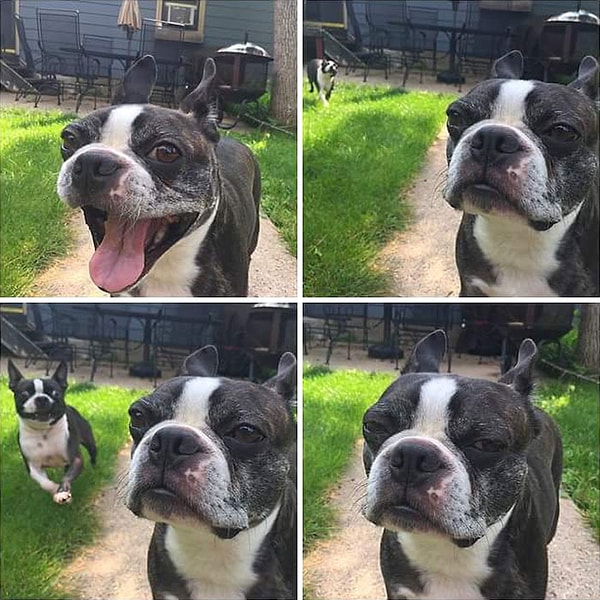 3. Испортил все веселье