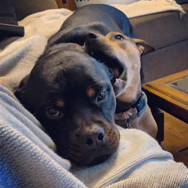 28. Раздражающая маленькая сестра