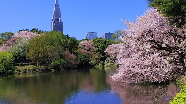 Yüzyıl sonra günümüzde parklar Tokyo'nun %20'sini kapsıyor.