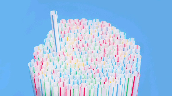Her yıl 500 milyon plastik pipet kullanılmaktadır.