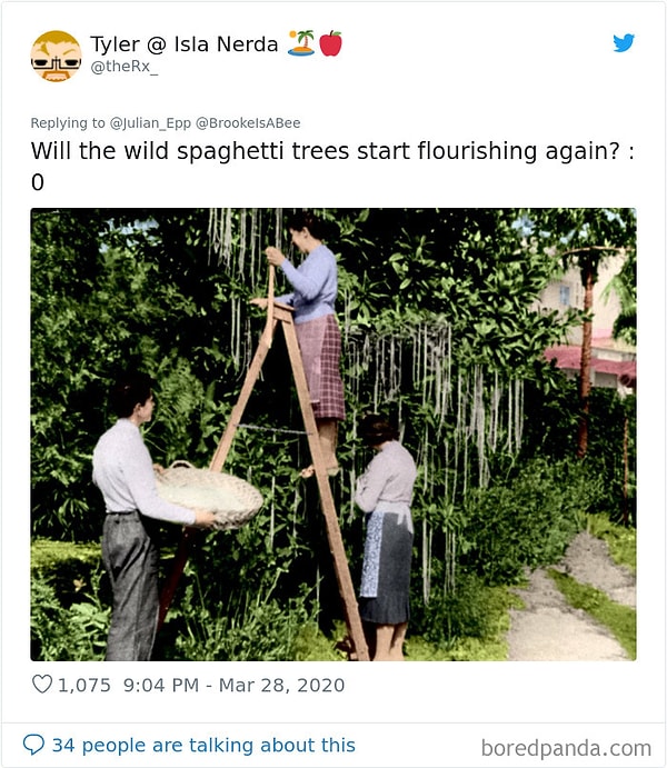 11. Начнут ли деревья дикой лапши опять цвести?