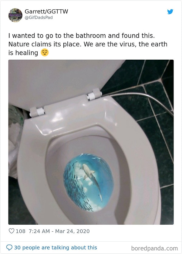 20. Хотел сходить в уборную, и увидел это. Природа возвращается