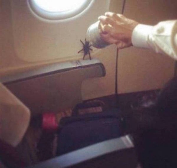 2. Не хотелось бы быть его попутчиком