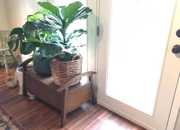 5. «Я нашел это на мусорке возле дома. Это оказалось винтажной качалкой”