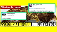 '720 Cinsel Organı Var Beyni Yok' Yazılı Haber Görseline Verdikleri Cevaplarla Kırıp Geçiren 15 Takipçimiz