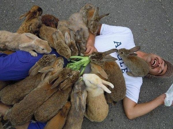 12. Tavşan saldırısı bu kadar mutlu edebilirdi...