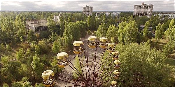 6. Çernobil'de topraktaki toksinleri temizlemek için kenevir ekilmektedir.
