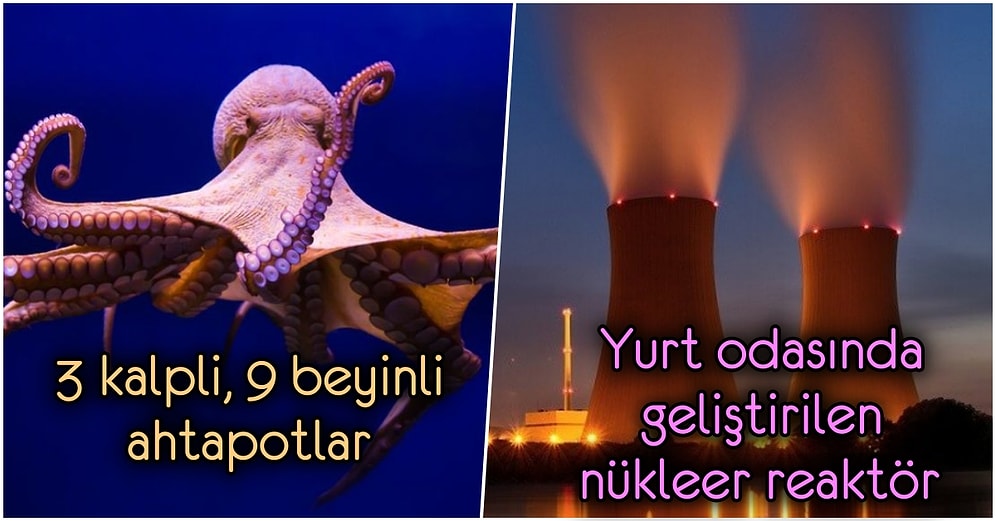 En Boş Ortamda Bile Muhabbeti Ele Geçirmenize Neden Olacak 12 İlginç Gerçek