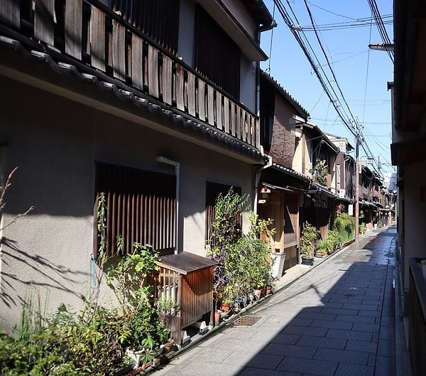 Улицы украшены растениями в горшках.