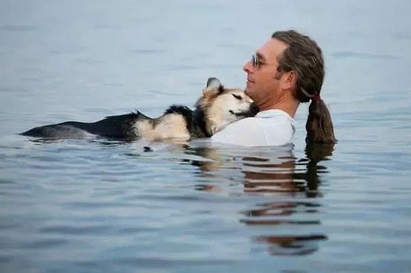 12. Schoep isimli 19 yaşındaki köpek, eklem hastalıkları dolayısıyla uykuya rahat dalabilmek için sahibinin kollarında göle giriyor.
