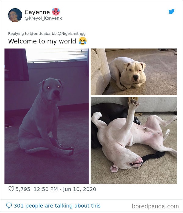 8. Добро пожаловать в мой мир